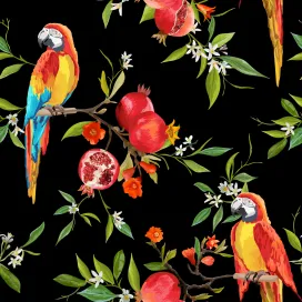 Pomegranate Tropical Background 7